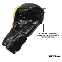 Kit de Boxe Muay Thai Pretorian Elite Training - Foto 5