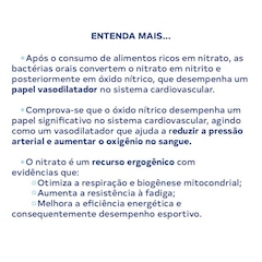 Bt 400 Dobro Nitrato Sabor Redberry - 450g - Foto 5