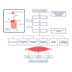 Bt 400 Dobro Nitrato Sabor Redberry - 450g - Foto 6