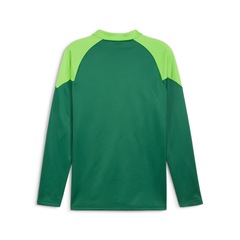 Camisa Puma Treino Palmeiras 2024 Fleece - Masculina - Foto 2