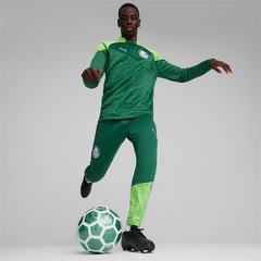 Camisa Puma Treino Palmeiras 2024 Fleece - Masculina - Foto 6