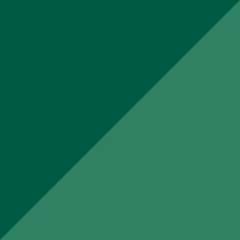 Camisa Puma Treino Palmeiras 2024 Fleece - Masculina - Foto 8