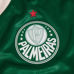 Camisa do Palmeiras 1 2025/2026 Puma Jogador - Masculina - Foto 6