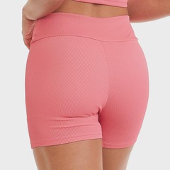 Short Feminino Caju Brasil Flash - Foto 2