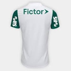 Camisa do Palmeiras II 25/26 Puma Torcedor Patrocínio Masculina - Foto 2