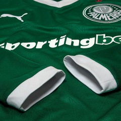 Camisa Manga Longa do Palmeiras I 25/26 Puma Torcedor Masculina - Foto 5