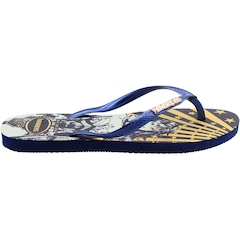 Chinelo Havaianas Warner Classic Feminino - Foto 2