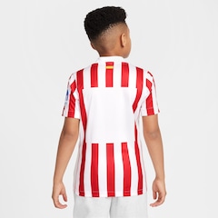 Camisa Atlético de Madrid I 25/26 Nike Torcedor Pro Infantil - Foto 2