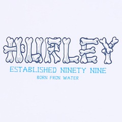 Camiseta Hurley Bones SM26 Masculina - Foto 2