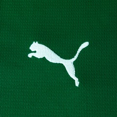 Camisa do Palmeiras Home Jersey Jogador 26/27 Puma Masculina - Foto 4
