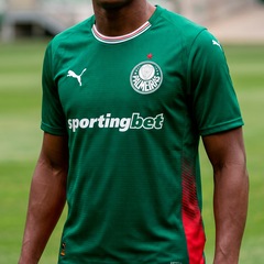 Camisa do Palmeiras Home Jersey Jogador 26/27 Puma Masculina - Foto 7