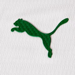 Camisa do Palmeiras Away Jersey Jogador 26/27 Puma Masculina - Foto 3