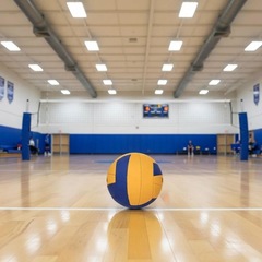 Bola Rainha Vôlei 7.5 Pro Oficial - Foto 3