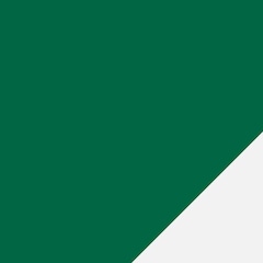 Camisa do Palmeiras I 25/26 Puma Torcedor Masculina - Foto 8