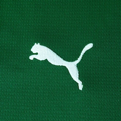 Camisa Do Palmeiras Torcedor Puma I 2026 Infantil - Foto 4
