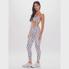 Calça Legging Body for sure Píton - Feminina - Foto 1
