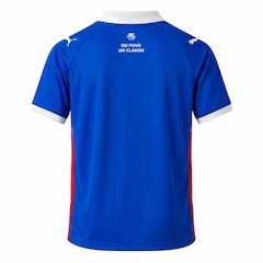 Camisa do Bahia Puma Torcedor 2026  - Masculina - Foto 2