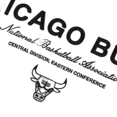 Camiseta New Era Regular Chicago Bulls NBA Masculina - Foto 3