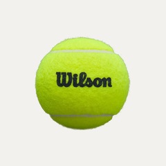 Bolas Padel Wilson Premier Tubo com 3 Bolas - Foto 3