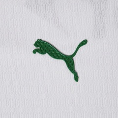 Camisa do Palmeiras II 2026 Jogador Puma Feminina - Foto 4