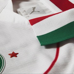 Camisa do Palmeiras II 2026 Jogador Puma Feminina - Foto 8