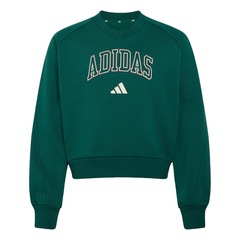 Blusão de Moletom adidas Seasonals Collegiate Typography Infantil - Foto 1