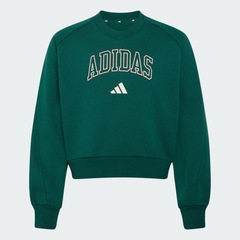 Blusão de Moletom adidas Seasonals Collegiate Typography Infantil - Foto 2