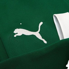 Camisa Palmeiras I 2025 Manga Longa Torcedor Puma Masculina - Foto 4