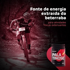 Palatinose FourLab 500g - Foto 2