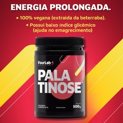 Palatinose FourLab 500g - Foto 3