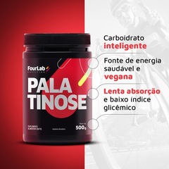 Palatinose FourLab 500g - Foto 4