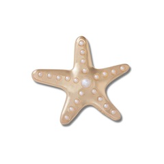Jibbitz™ Crocs Estrela do Mar Dourada com Pérolas - Foto 1