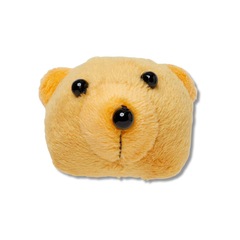 Jibbitz™ Crocs Face do Teddy Bear Único - Unissex - Foto 1