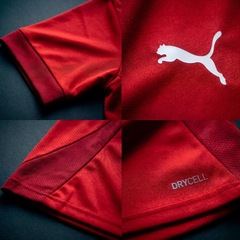 Camiseta Puma Team Goal Matchday Jersey Masculina - Foto 3