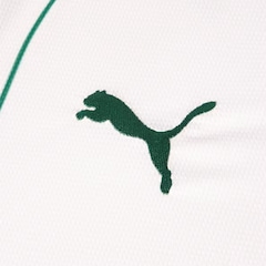 Camisa do Palmeiras Puma Torcedor Masculina - Foto 3