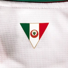 Camisa do Palmeiras Puma Torcedor Masculina - Foto 6