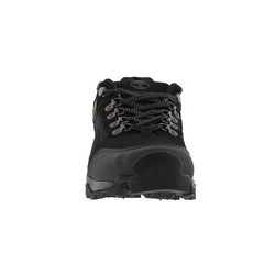 tenis timberland landscape
