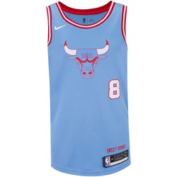 camisa chicago bulls nike