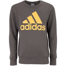 Blusa de Moletom Masculina adidas Big Logo