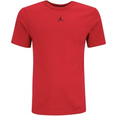 Camiseta Jordan Nike Masculina Sport Dri-Fit SS