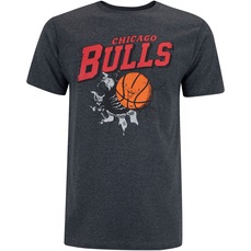 Camiseta do Chicago Bulls Masculina NBA Air Ball