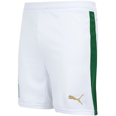 Calção do Palmeiras I 24 Puma Masculino Torcedor-0