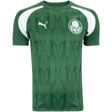 Camisa do Palmeiras 24 Puma Masculina Pré Jogo