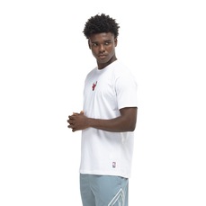 Camiseta do Chicago Bulls NBA Masculina Core