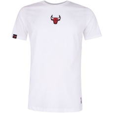 Camiseta do Chicago Bulls NBA Masculina Core
