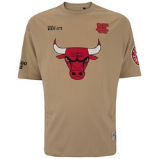 Camiseta do Chicago Bulls NBA Masculina Pennant N0539
