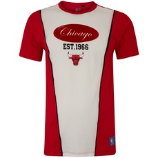 Camiseta do Chicago Bulls NBA Masculina Eightie Team NB695