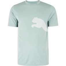 Camiseta Masculina Puma Manga Curta Tad Big Logo