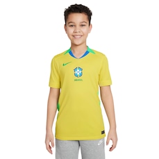 Imagem do produto Camisa da Seleção do Brasil CBF I 25/26 Torcedor Pro Nike Infantil na posição 16 de 5