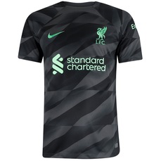 Camisa Liverpool de Goleiro 23/24 Torcedor Masculina